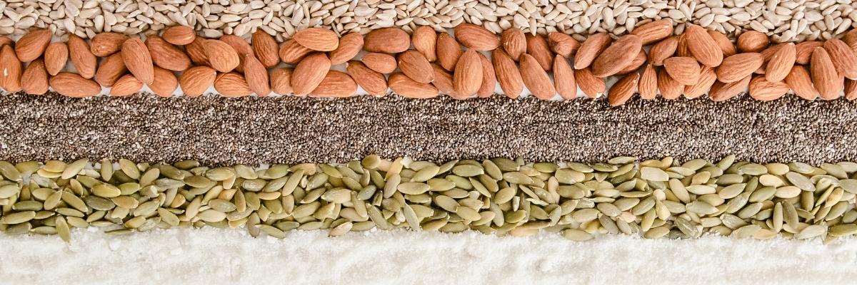 Rows of seeds and nuts suitable for low-carb snacking.