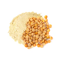 European Golden Pea Protein